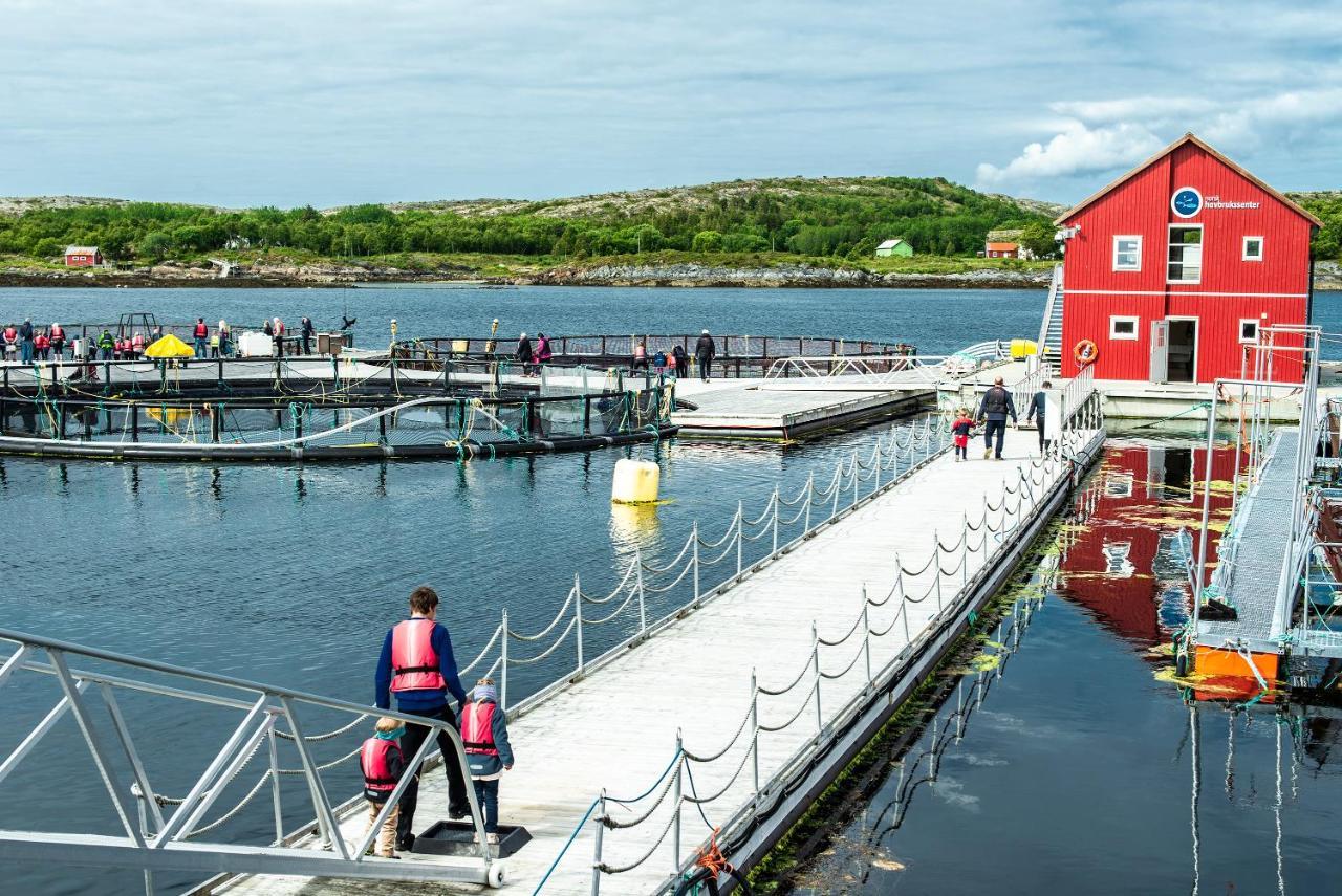Norsk Havbrukssenter - Rorbuer Hotell Bronnoysund Eksteriør bilde