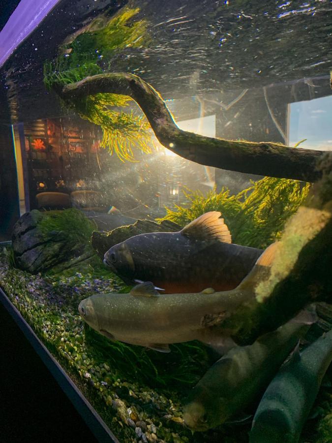 Norsk Havbrukssenter - Rorbuer Hotell Bronnoysund Eksteriør bilde
