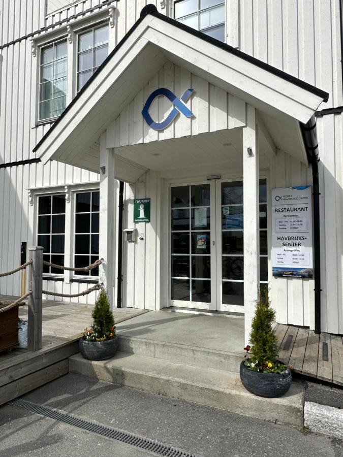 Norsk Havbrukssenter - Rorbuer Hotell Bronnoysund Eksteriør bilde