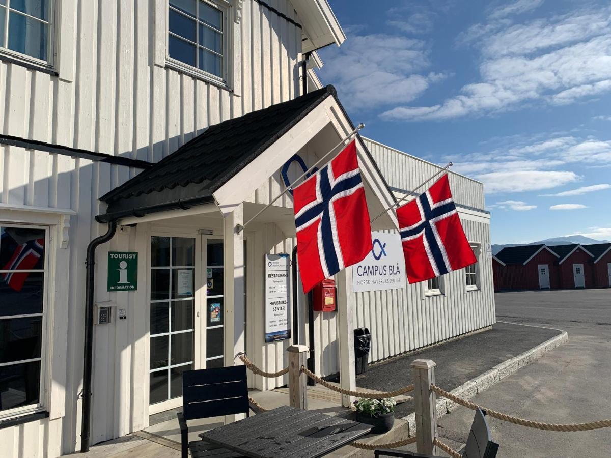 Norsk Havbrukssenter - Rorbuer Hotell Bronnoysund Eksteriør bilde