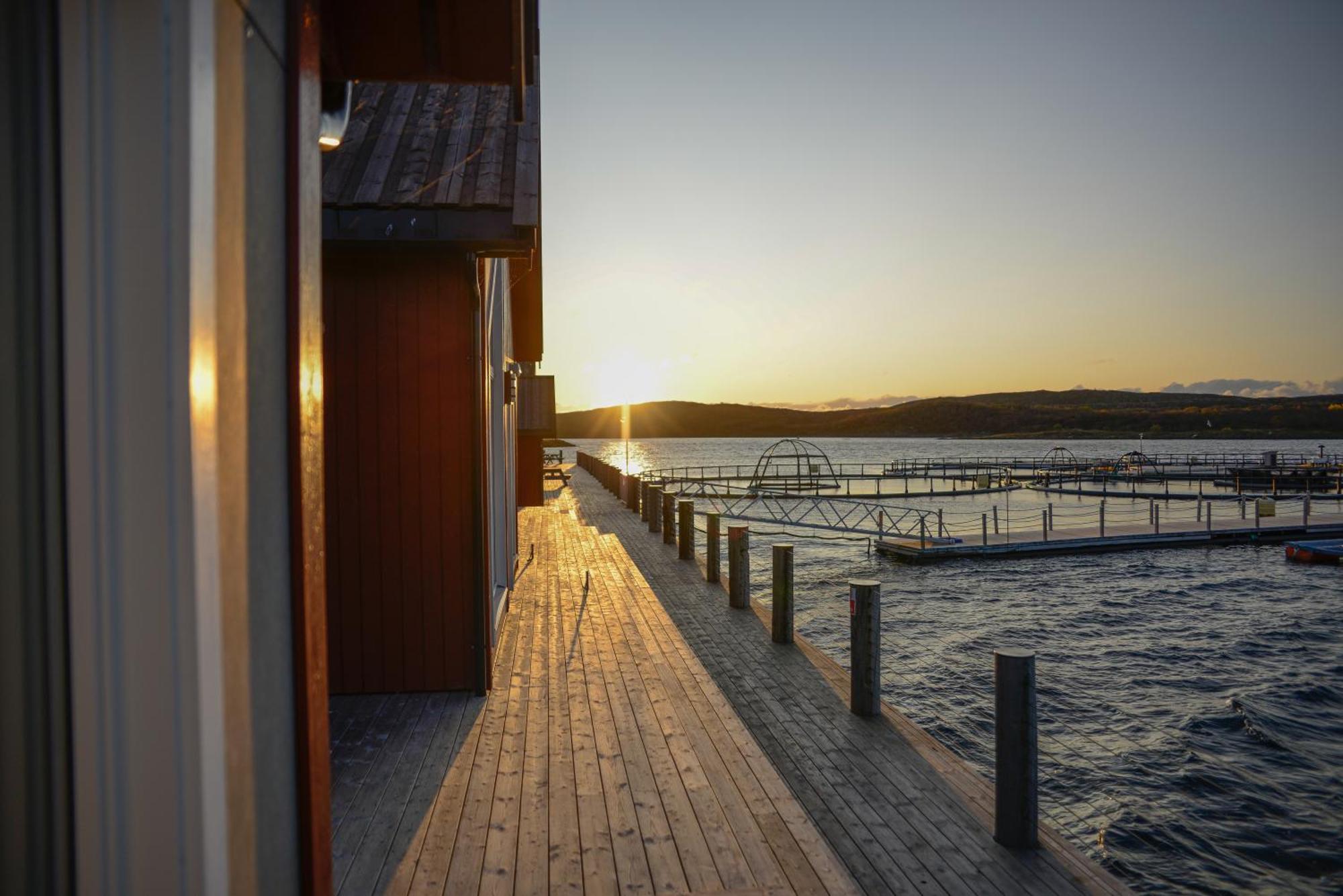 Norsk Havbrukssenter - Rorbuer Hotell Bronnoysund Eksteriør bilde