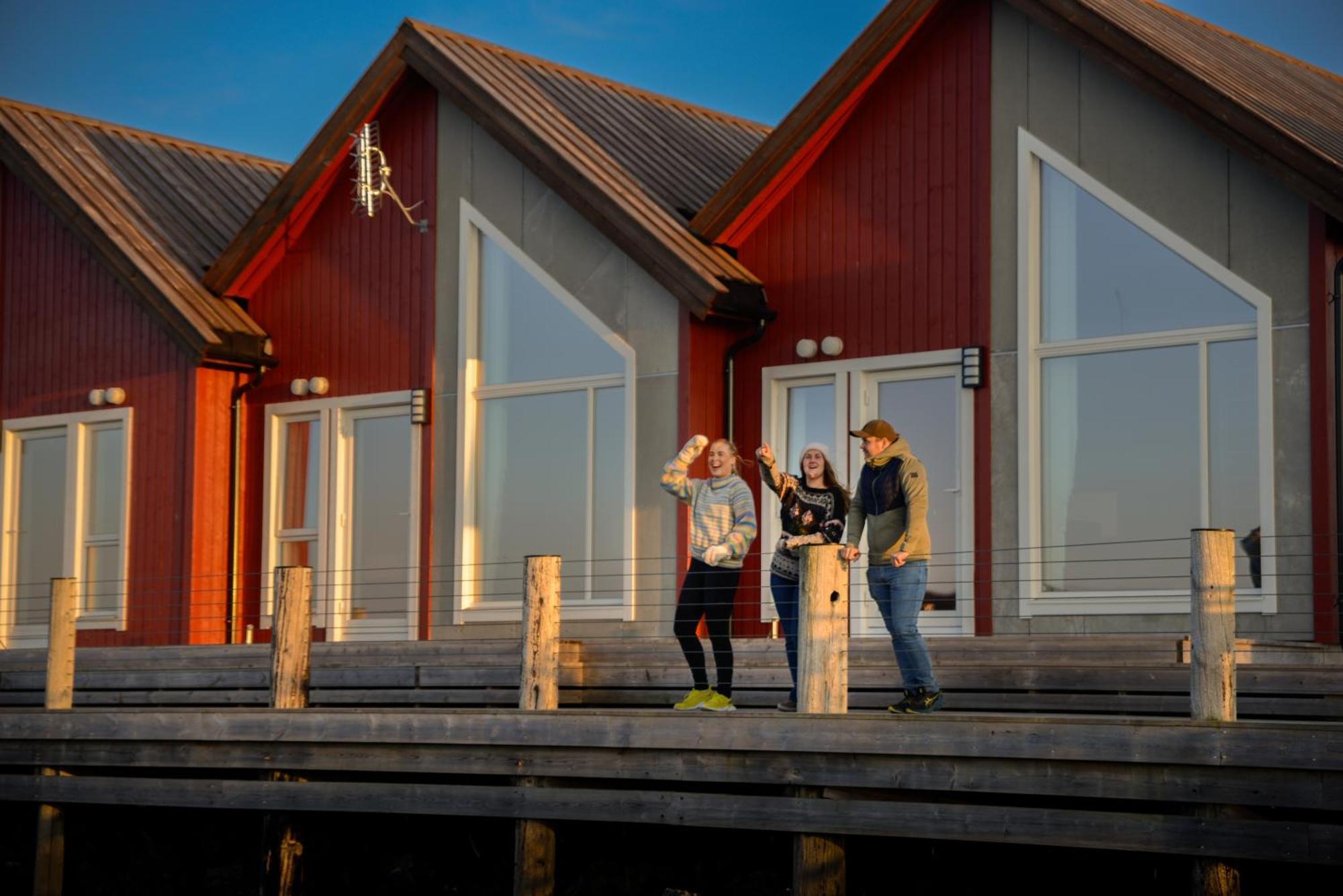 Norsk Havbrukssenter - Rorbuer Hotell Bronnoysund Eksteriør bilde